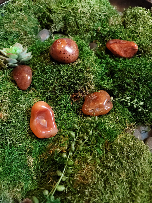 Carnelian tumbled stones