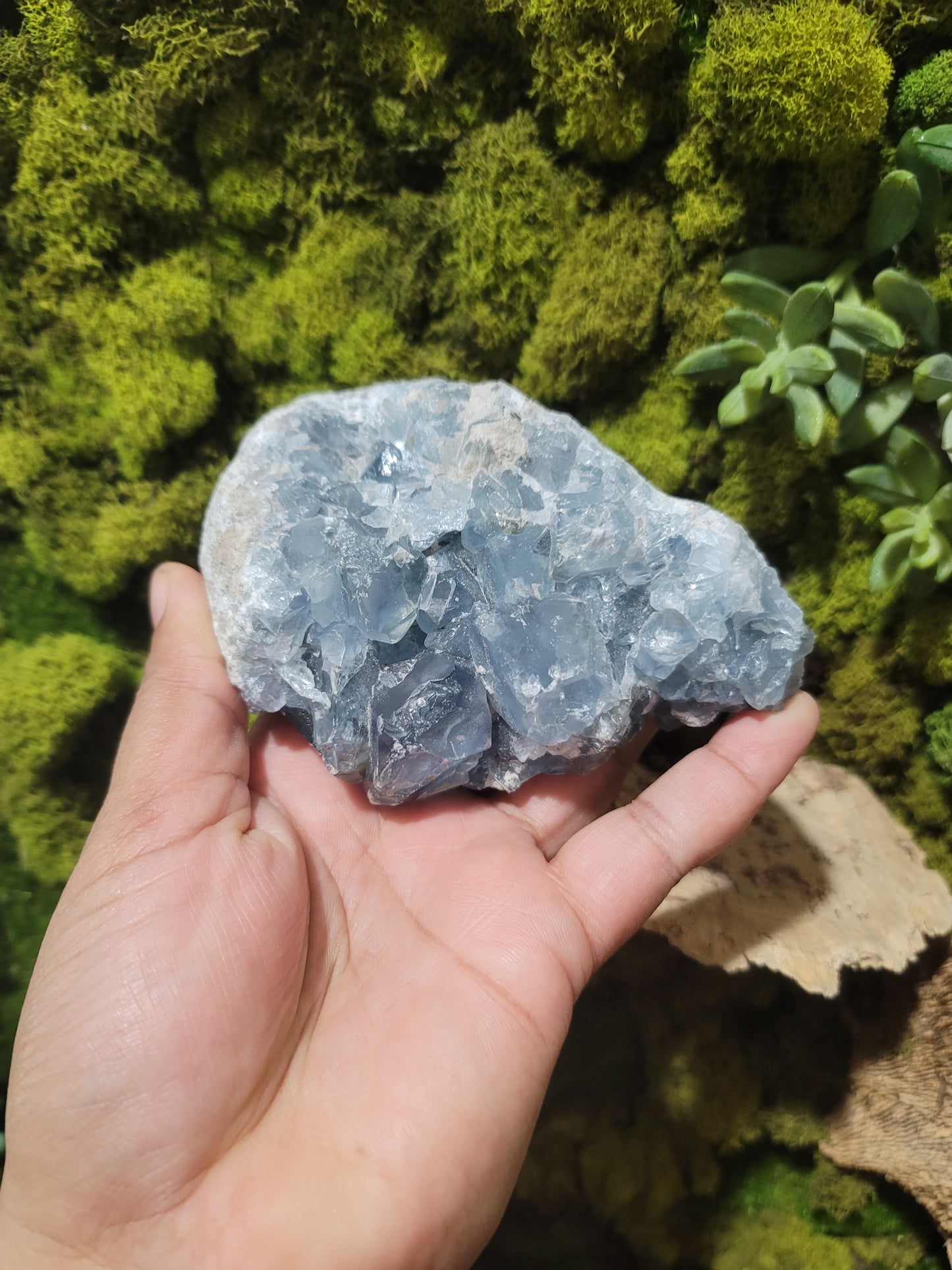 Celestite (B)