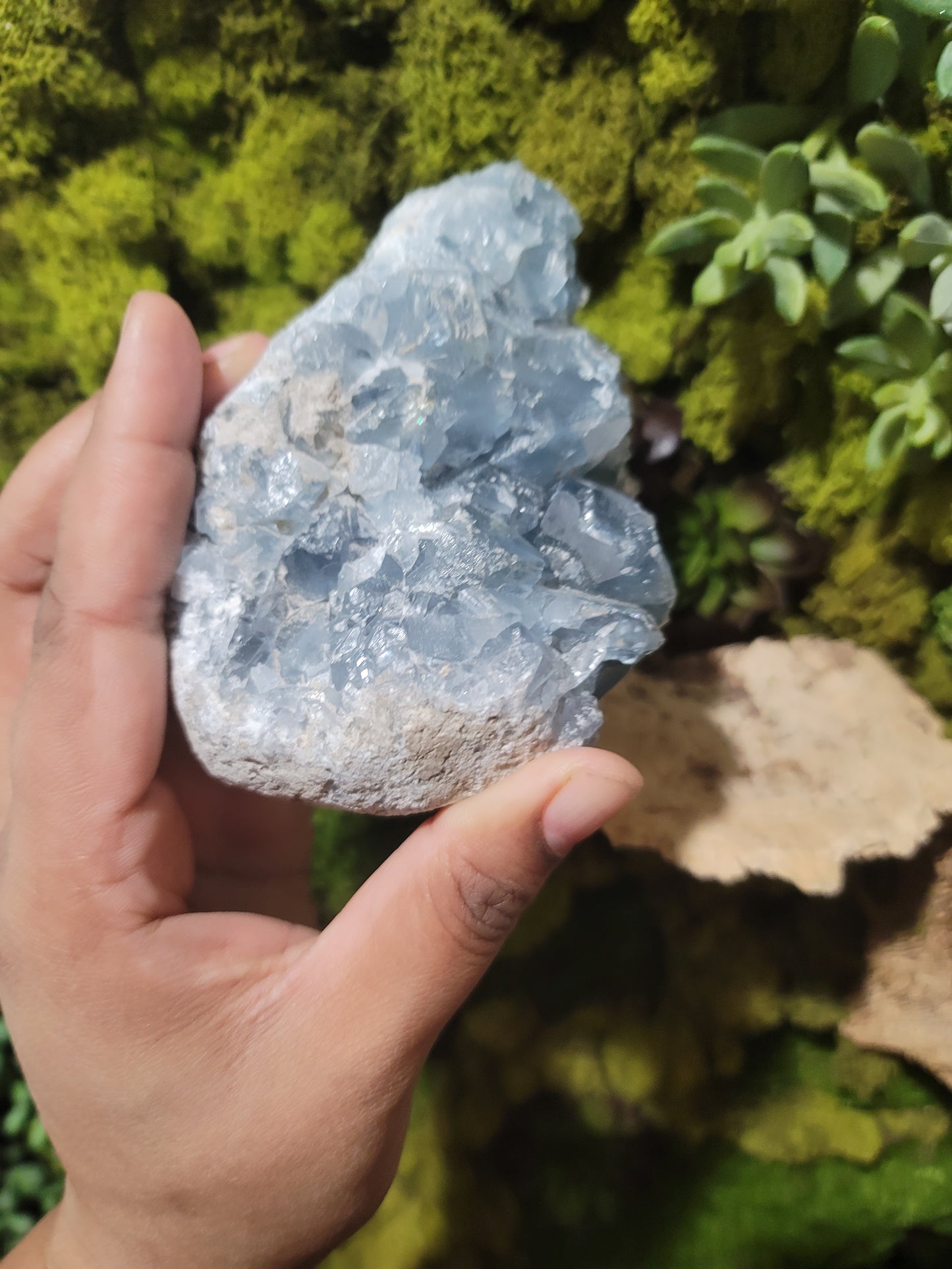 Celestite (B)