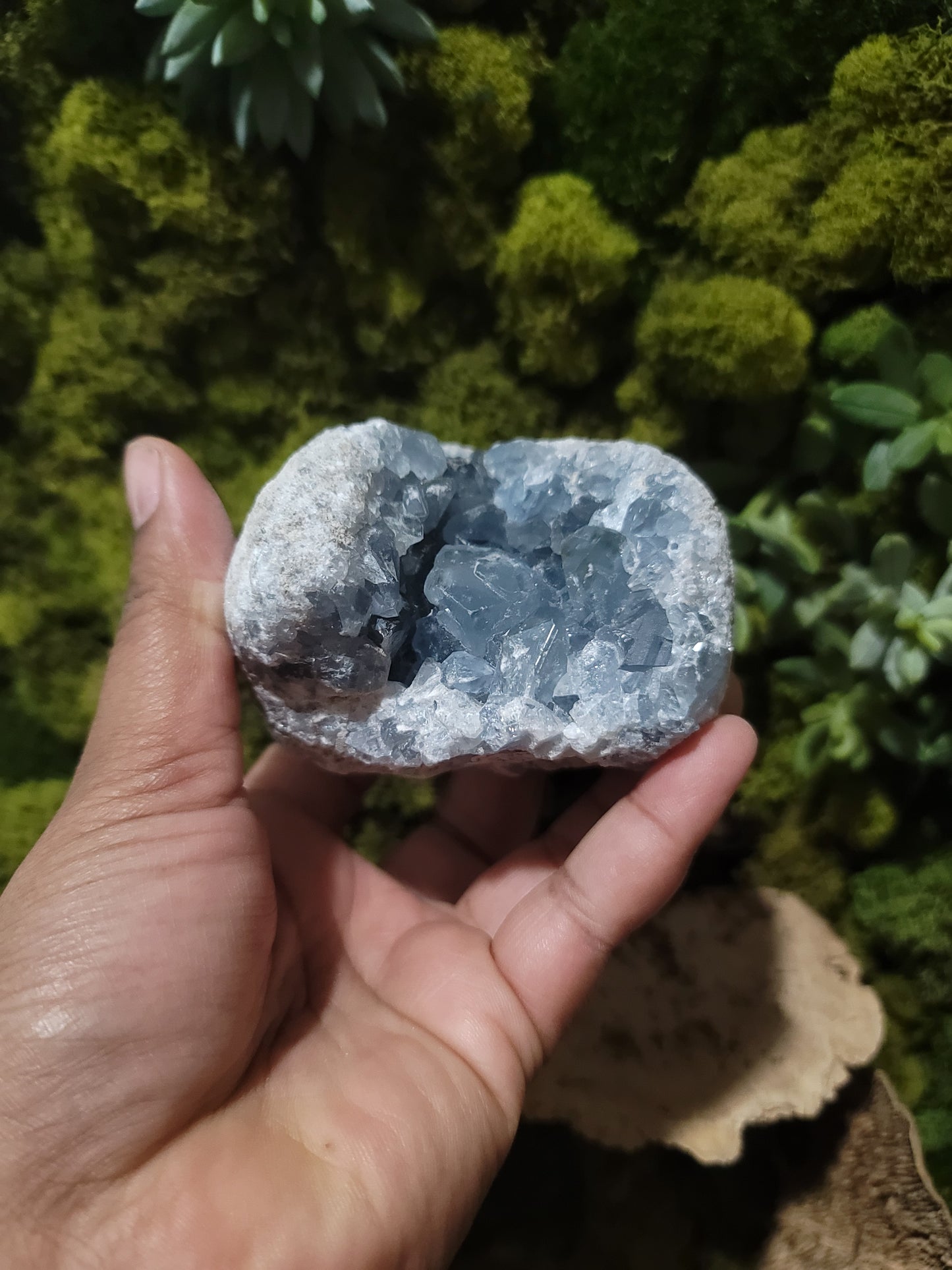 Celestite (C)