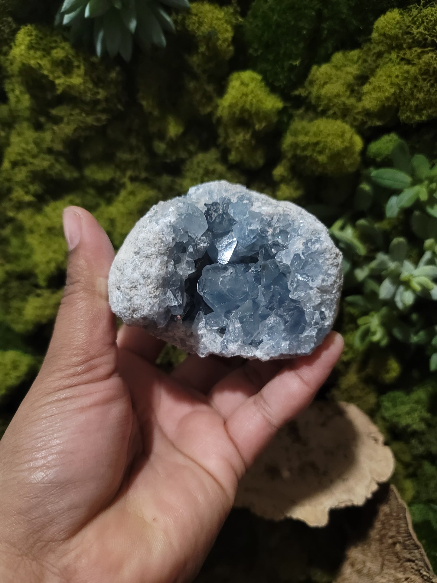 Celestite (C)