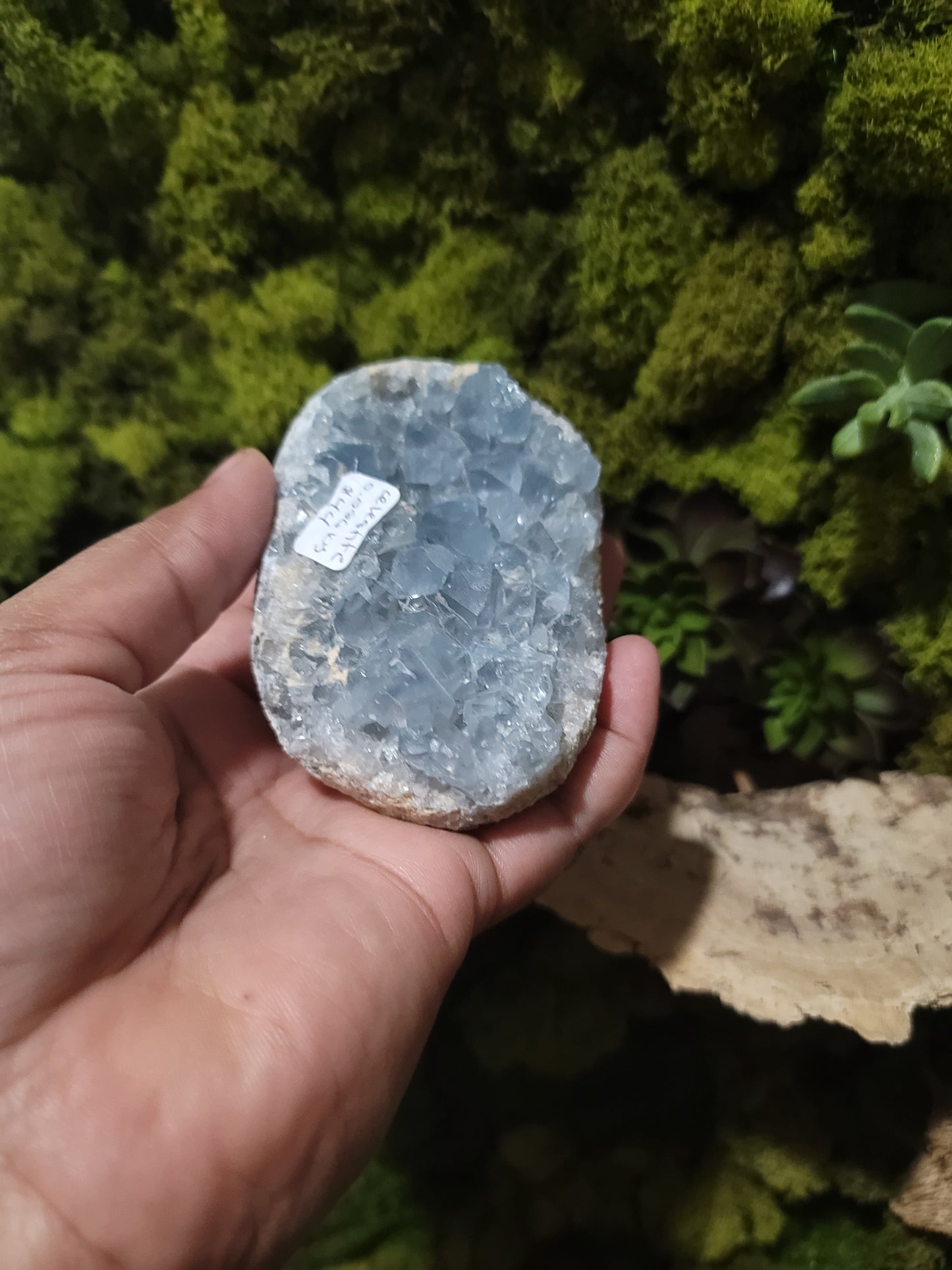 Celestite (A)