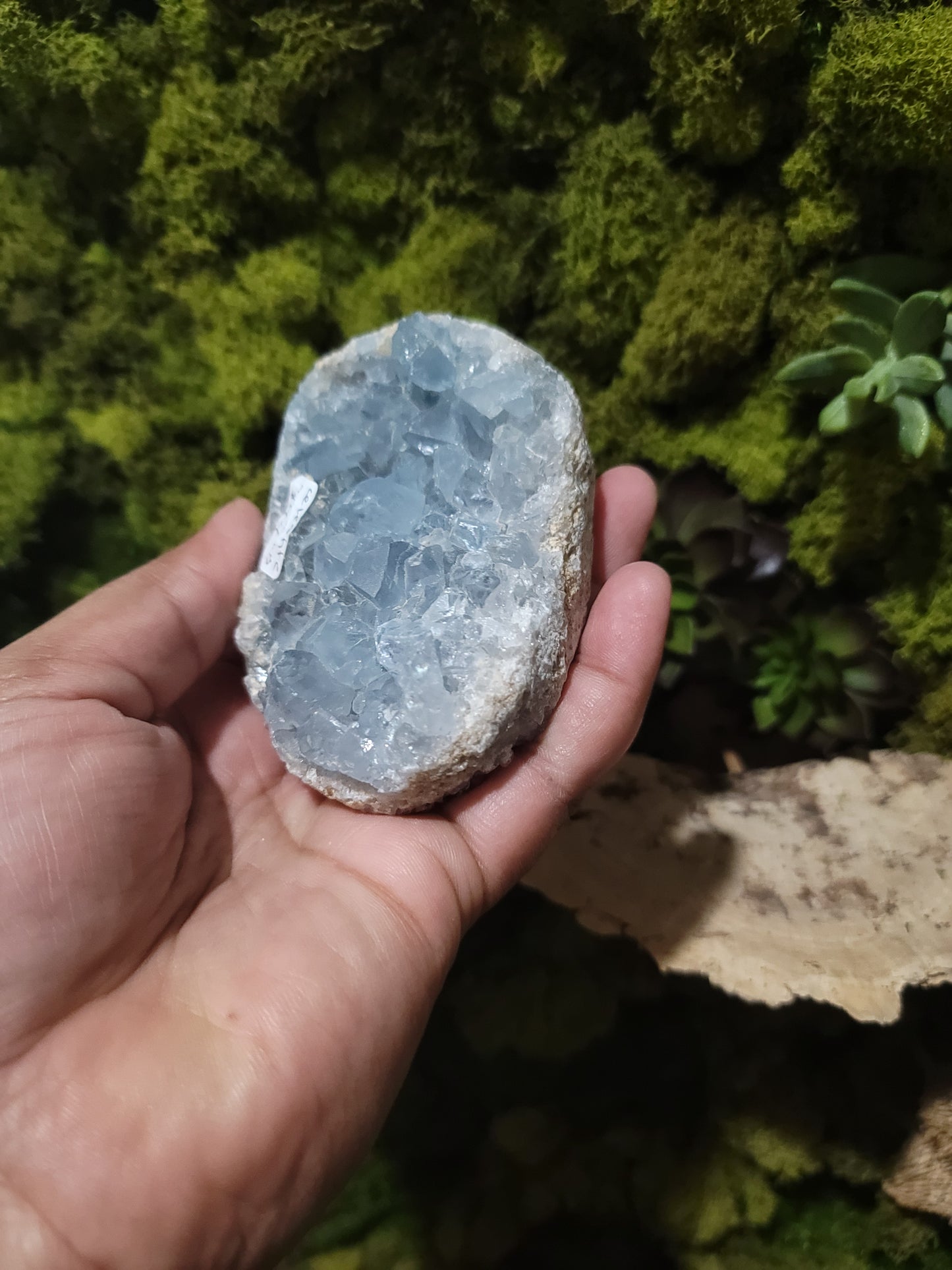 Celestite (A)